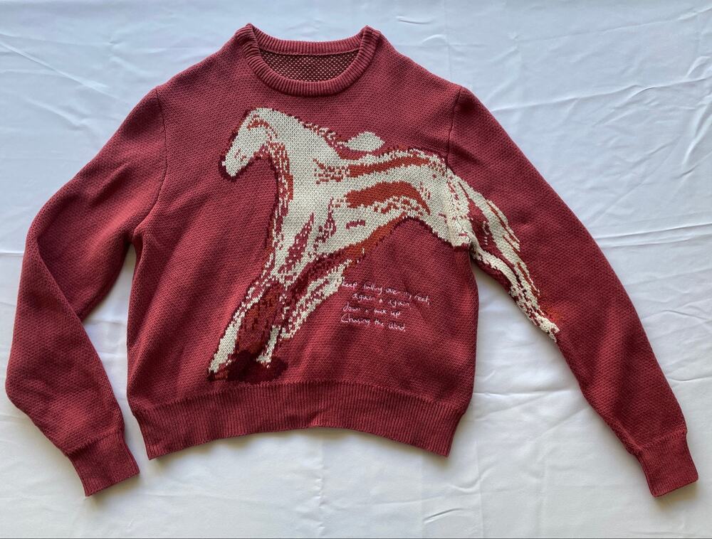 S’envoler Studio Song of the Birds Waffle Knit Sweater Horse Graphic Embroidered
